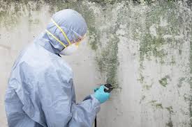 Best Air Quality Testing for Mold Spores  in Denver City, TX